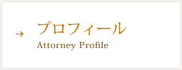プロフィール Attorney Profile
